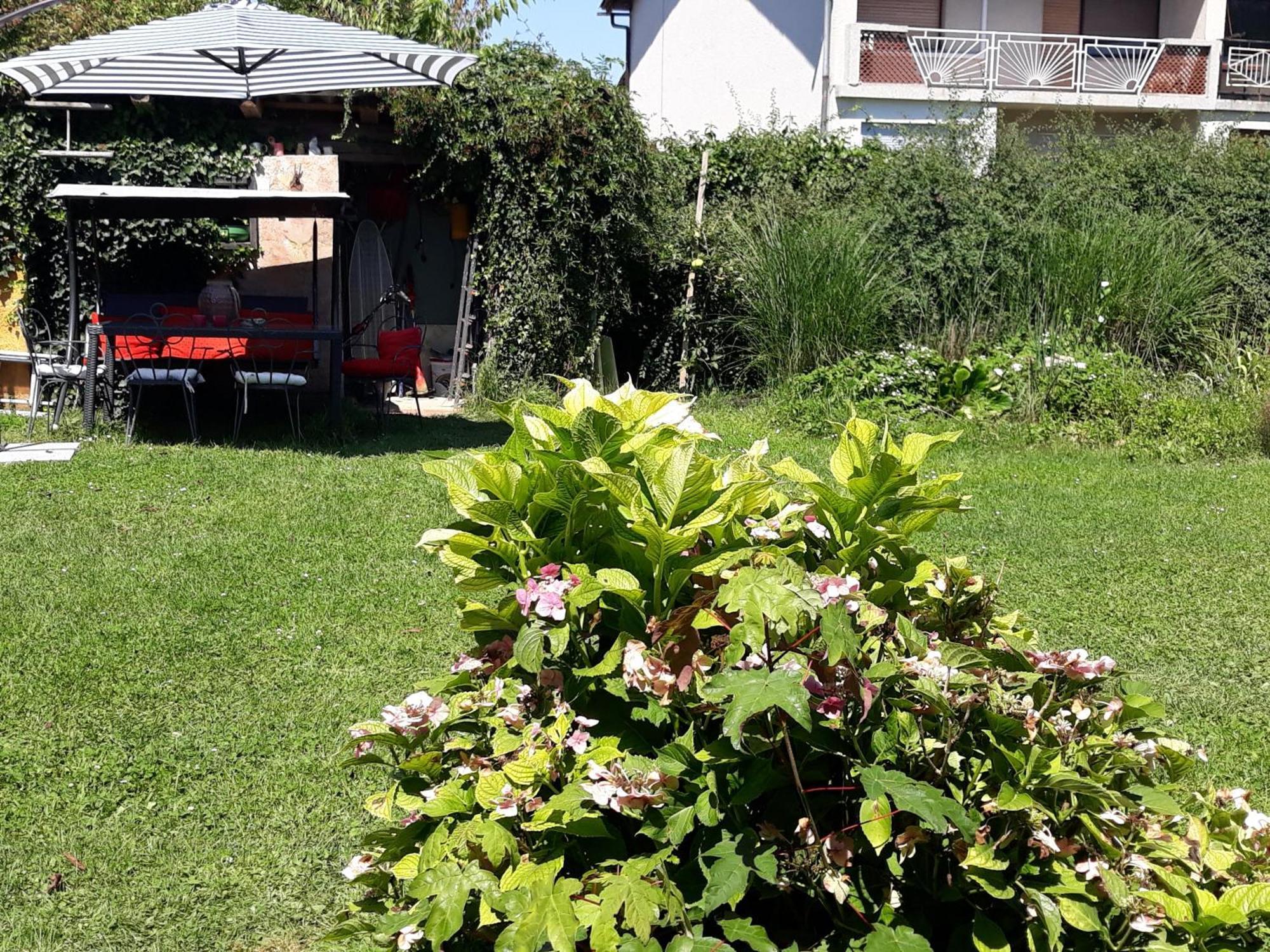 Indian Tent Tipi In Shared Lot And Shared Bathroom Mrse エクステリア 写真