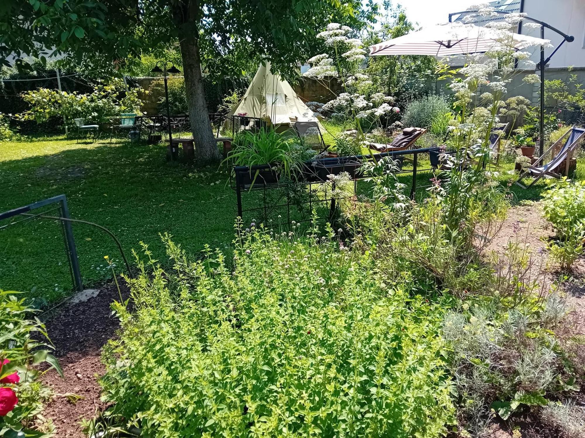 Indian Tent Tipi In Shared Lot And Shared Bathroom Mrse エクステリア 写真